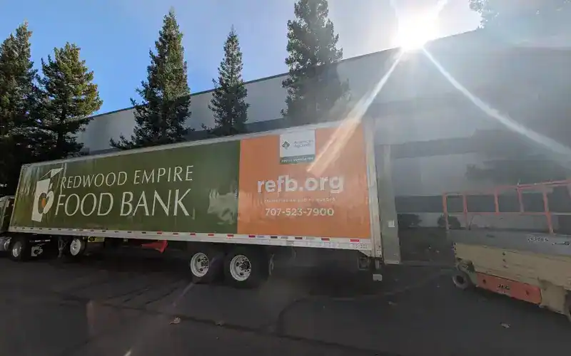 custom vehicle vinyl wrap